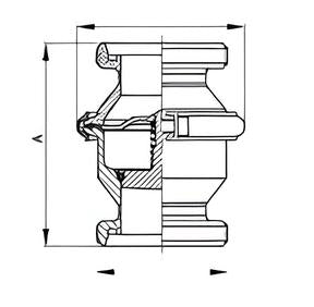 Weld Non Reversing Flow Valve