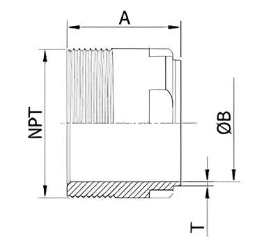 Sanitary Female 22MP clamped pipe adaptor