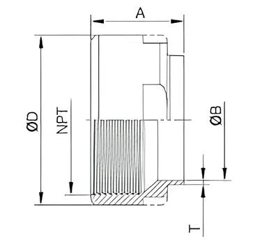 19WB Threaded Welded