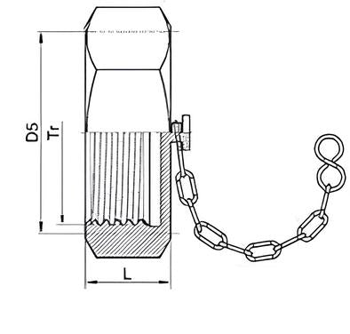 Blind Nut With Chain