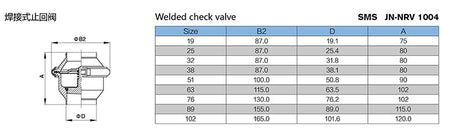 High-Performance Welded Check Valve