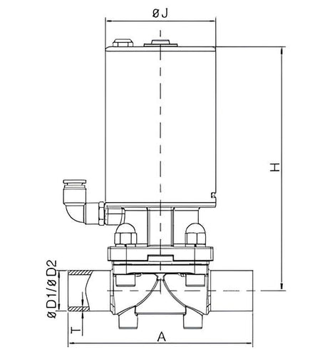 Sanitary Pneumatic Diaphragm Valve