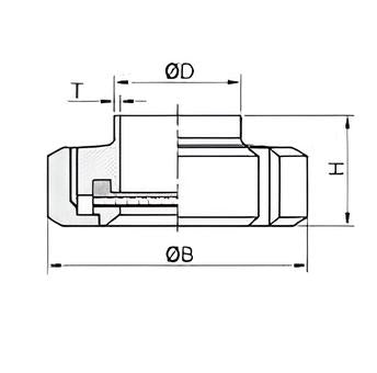 Union Type Sight Glass