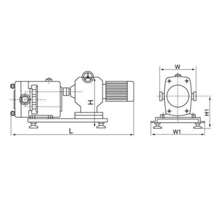 Horizontal Rotary Lobe Pump