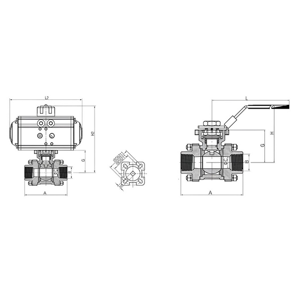 Sanitary Multi-Port Ball Valve