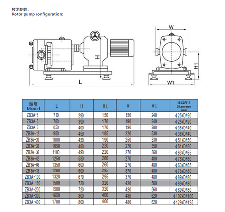 Horizontal Rotary Lobe Pump