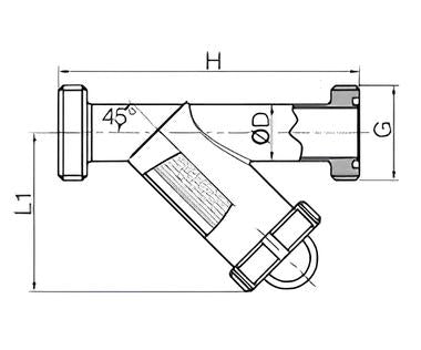 SS Sanitary Water Filter