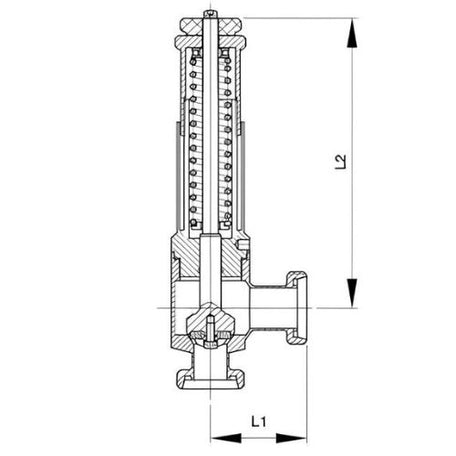 SS316L Food Grade Quick Release Air Valve